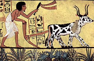 家畜を「用立て」する古代エジプト人